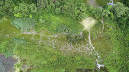 Aerial landscape - natural river