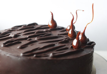 chocolate, food, dessert, sweet, brown, candy, dark, cake, isolated, white, delicious, cream, cocoa, liquid, bar, swirl, tasty, snack, gourmet, milk, sugar, closeup, abstract, coffee, heart