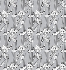 seamless pattern with delicate iris in black and white tones