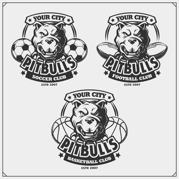 Basketball, soccer and football logos and labels. Sport club emblems with pitbull.