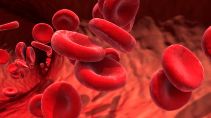 Fototapety  red blood cells circulating in the blood vessels