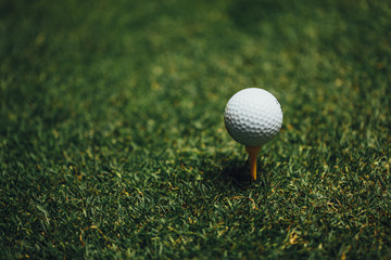 golf ball on yellow tee on green grass, closeup view
