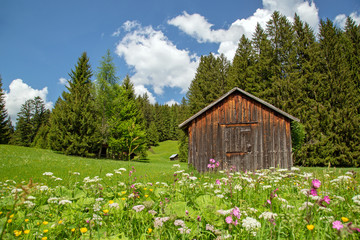 Allgäu - Alpen - Stadel - Panorama - Alpe - Hütte - Blumen