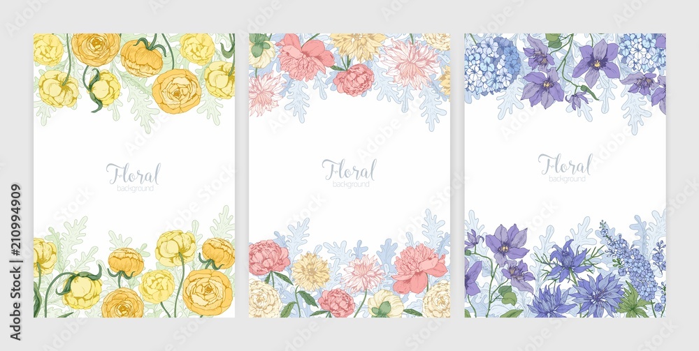 Poster collection of floral backgrounds or card templates with frames made of beautiful blooming wild flowe