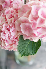 beautiful hydrangea flowers in a vase on a table . Bouquet of light blue, lilac and pink flower. Decoration of home. Wallpaper and background. Vertical photo