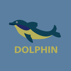 DOLPHIN