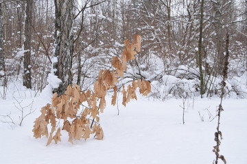 Tschernobyl im Winter 2018