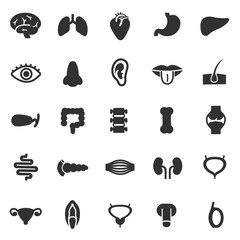 human anatomy, monochrome icons set. internal organs, body parts, simple symbols collection