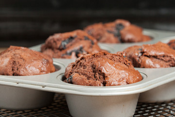 Home Baked Blueberry Chocolate Muffins.