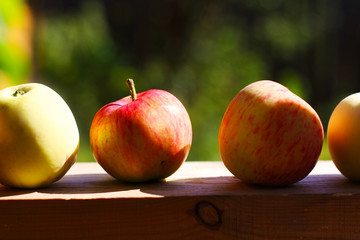 apples in a row on a wooden table in the sun