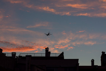 Landing airplane and european herring gull at colorful urban sunset. Silhouette, selective focus. Cityscape, background.