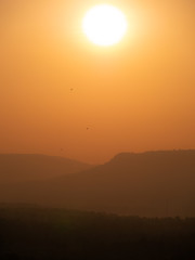 Birds Flying on Mountain at Cliff behind The Sun