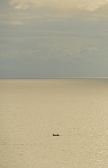 Fishing boat is sailing in the golden sea.