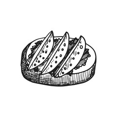 sandwich vector sketch icon. isolated
