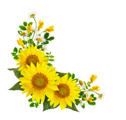 Naklejka premium Słoneczniki, stokrotki i kwiaty akacji oraz zielone liście w narożnej argamacji