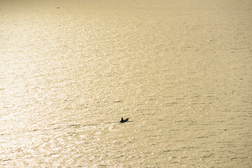 Fishing boat is sailing in the golden sea.