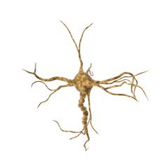 Single neuron nervous system on white. 3D illustration