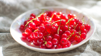 
Fresh red currant in a plate on a light rustic background in the sunlight. berries of red currant (Ribes rubrum).