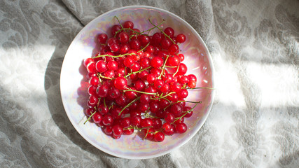
Fresh red currant in a plate on a light rustic background in the sunlight. berries of red currant (Ribes rubrum).