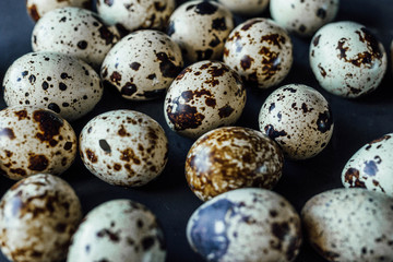 Fototapeta premium A lot of fresh quail eggs on black background. Eco-friendly farm product