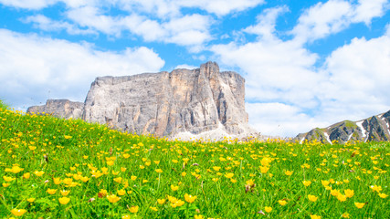 Lastoni de Formin, aka Ponta Lastoi de Formin. Giant mountain block with blooing meadow and summer sky, Dolomites, Italy.