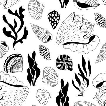 Doodle sea shells pattern © katerinamk