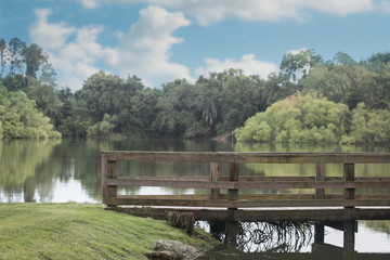 Fototapeta na wymiar Florida Lake with Bridge on a Beautiful Day