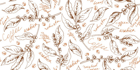 Naklejki  Botaniczny wzór z gałązkami kawy i fasolami