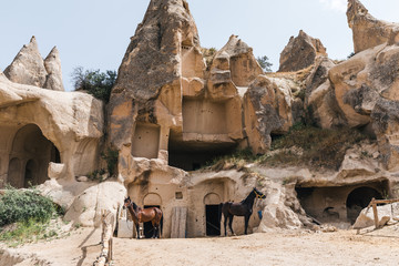 horses near caves in rocks at goreme national park, cappadocia, turkey