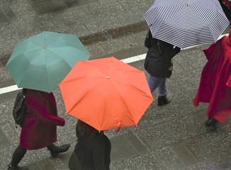 Persone con ombrello sotto la pioggia