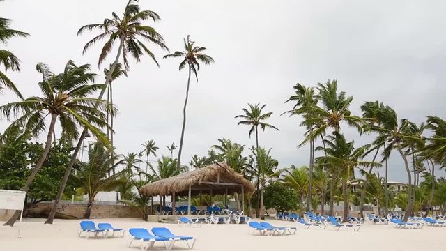 A tropical storm in Dominican Republic. Hurricane on beach of Punta Cana\Hurricane, a strong wind on the beach shakes the palm trees.