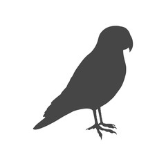 Parrot icon, vector illustration on white background