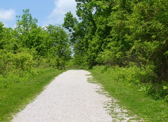 The long gravel path in the forest of the park. 