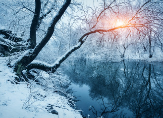 Winter forest on the river at sunset. Colorful landscape with snowy trees, frozen river with reflection in water. Seasonal. Snow covered trees, lake, sun and blue sky. Beautiful forest in snowy winter