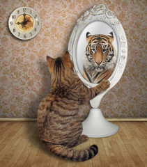 The cat sits near the mirror and looks at his unusual reflection in the room. 