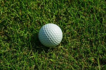 golf ball game on green gass field 