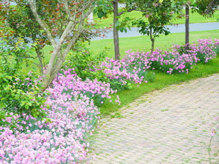 イングリッシュガーデン