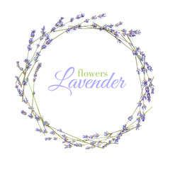Obraz premium Kwiaty lawendy ułożone w okrąg z miejsca na tekst na białym tle