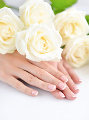 Obraz na płótnie Canvas Hands of a woman with beautiful french manicure and white roses