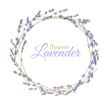 Fototapeta Lavender flowers arranged in circle with space for your text on a white background