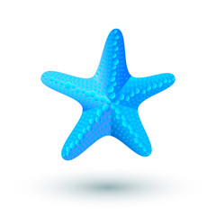 Obraz premium Blue starfish isolated on white background. Starfish for t-shirt print, flyer, poster design. Vector illustration.