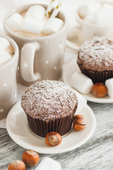 Cupcakes and different decorations