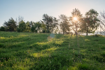 Obraz premium green meadow through which the sun shines with rays and blue sky, space for text, background image wallpaper