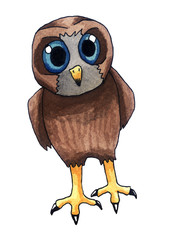 Adorable Owl