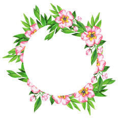 Pink flowers and green leaves round frame isolated on white background. Hand drawn watercolor illustration.
