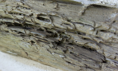 Close-up of weathered, decayed hand hewed log