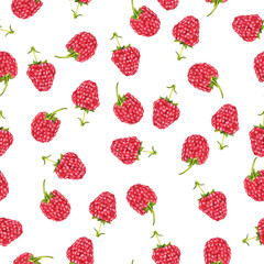 Seamless pattern with fresh raspberries on white background. Hand drawn watercolor illustration.