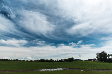 Obraz na płótnie Canvas Blue sky with cumulus clouds over a soybean field in rural Western Minnesota