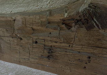 Close-up of hand hewed log with knot and ax marks set in wall of log cabin