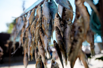 Dried fish on rope at stall on summer market for sale. Salted local seafood. Fishing concept.